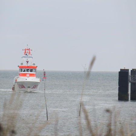 Apartament Heckenrose-5-Eg-Rechts Norddorf auf Amrum Zewnętrze zdjęcie